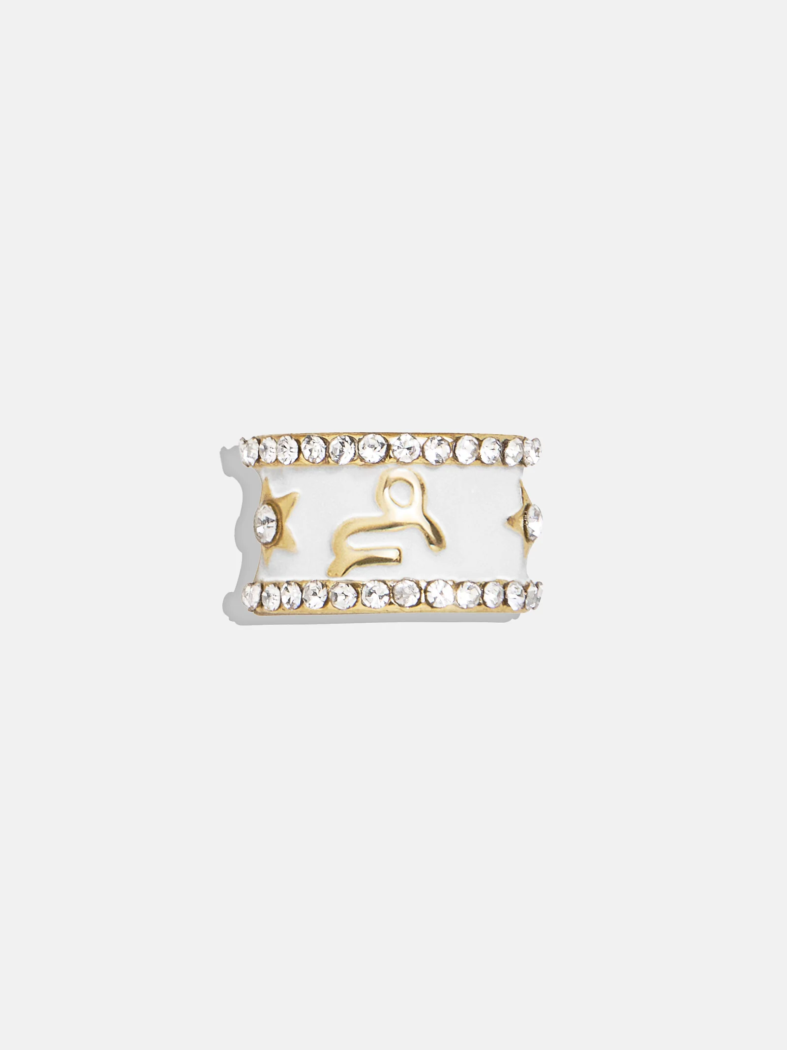 Zodiac 360 Spinner Charm - Capricorn